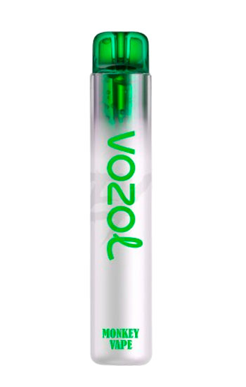 №17 Lemon Mojito